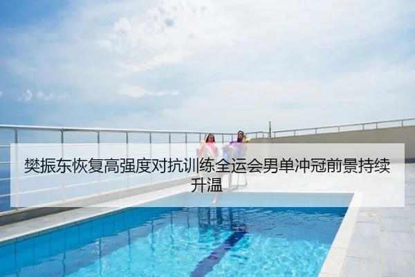 樊振东恢复高强度对抗训练全运会男单冲冠前景持续升温